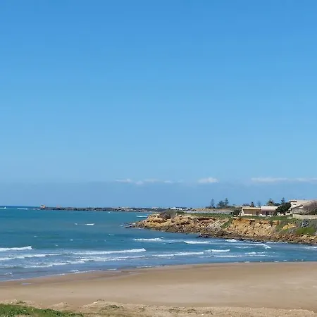 Siciliacasevacanze - Ulivi