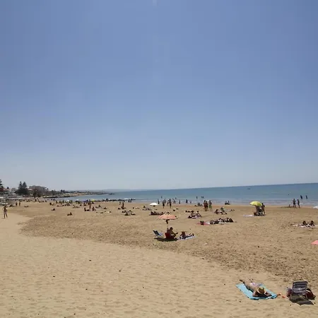 Siciliacasevacanze - Ulivi *