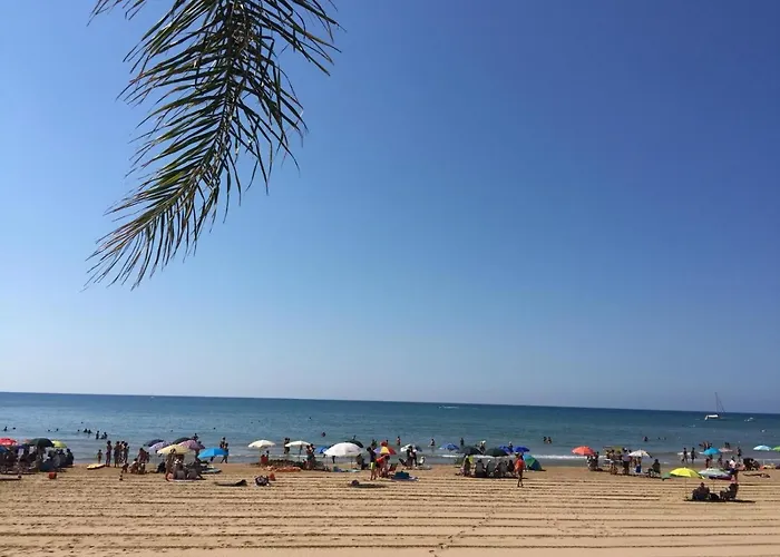 Siciliacasevacanze - Ulivi