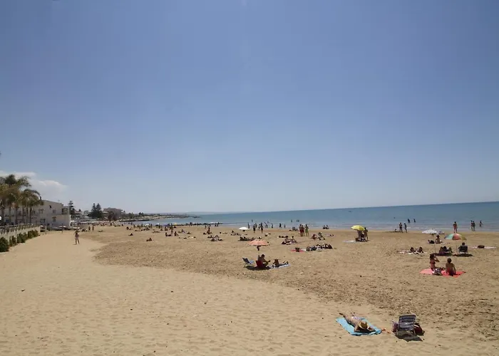 Siciliacasevacanze - Ulivi *